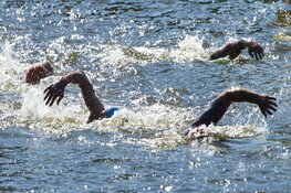Alkmaar Sport organiseert Open Water Swim Events