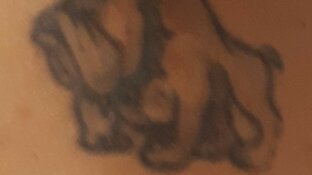 Politie zoekt identiteit van &#39;niet aanspreekbare&#39; man in Broek op Langedijk