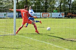 Nog geen titel voor Flamingo’s 64