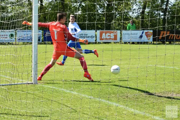 Nog geen titel voor Flamingo’s 64