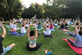 Inspanning en ontspanning tijdens Plus Wandel4daagse Alkmaar