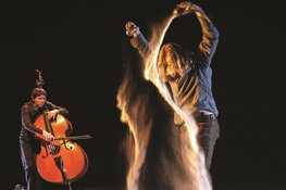 Zomer in De Mare zorgt voor magie in De Rekerhout