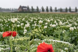 Coalitie Noord-Holland ''Duurzaam doorpakken!'