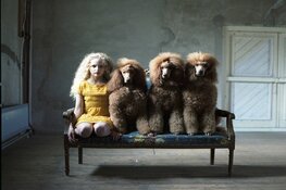 Laatste kans: overzichtstentoonstelling Hellen van Meene