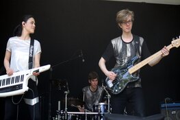 Festival "De Hout Rocks" zeer geslaagd