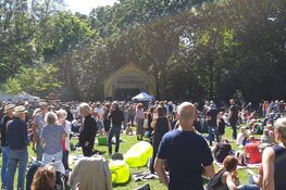 Festival "De Hout Rocks" zeer geslaagd