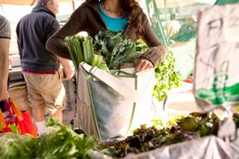 Biologische boerenmarkt zaterdag 29 juni 2019 Recreatiegebied Geestmerambacht