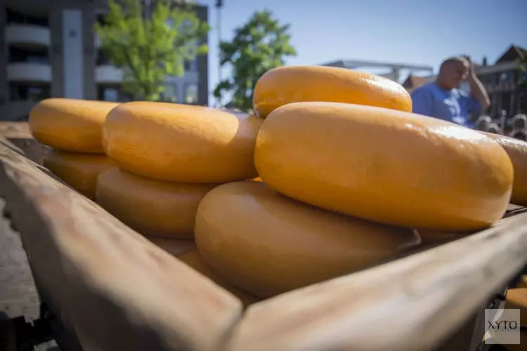 De KOOK opent Alkmaarse kaasmarkt