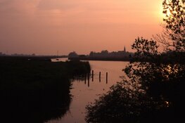 Nacht van de Vleermuis, avondvaartocht door Eilandspolder