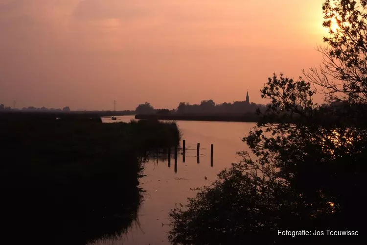 Nacht van de Vleermuis, avondvaartocht door Eilandspolder
