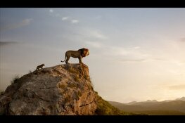 Speciale “prikkelvrije” voorstelling van The Lion King bij Vue Alkmaar