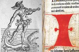 Alkmaars oudste bibliotheek Lezing en boekpresentatie over de Librije van Alkmaar