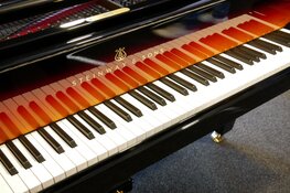 Heropening Maene-Ypma Piano’s Alkmaar