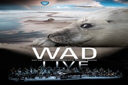 WADfilm live opent seizoen van De Vest met jarig Noordpool Orkest