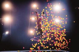 Vestival International: theaterpareltjes van over de hele wereld-  TAQA Theater De Vest presenteert unieke niet- talige voorstellingen met korting