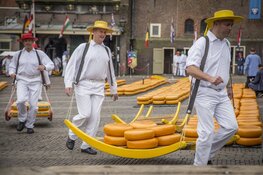 Gedeputeerde Van der Hoek opent Alkmaarse kaasmarkt