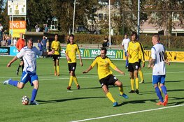 Doelpuntrijk gelijkspel bij Reiger Boys-Flamingo's