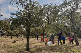 Appels plukken in Eilandspolder