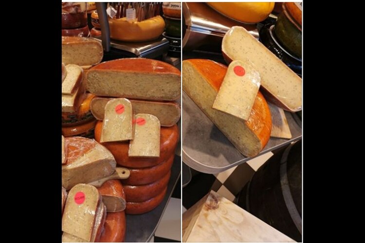 Nieuwe Aanbieding bij zuivelhoeve alkmaar