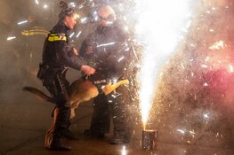 Politiehonden oefenen met vuurwerk