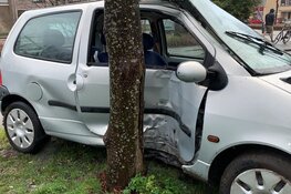 Auto rijdt tegen boom