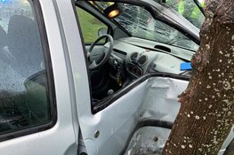 Auto rijdt tegen boom