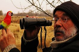 Vogels spotten