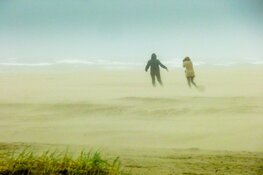 Zondagse storm Ciara houdt Nederland in greep (fotoalbum)