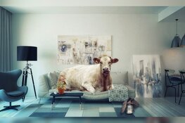 Papaver speelt 'Een Extraatje'