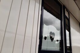 Schilder & Onderhoudswerk Toren streeft naar perfectie om elk project vakkundig af te ronden