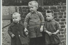 Theater na de Dam - STADSHART