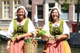 Kaeskoppenstad in september