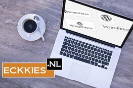 WordPress webinar voor zzp-ers, ondernemers en particulieren