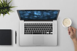 WordPress webinar voor zzp-ers, ondernemers en particulieren