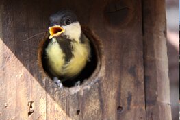 Nationale Tuinonderzoek van start