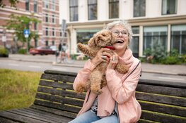 Een oppashond voor senioren: gezellig èn gezond