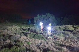 Brandweer uren bezig met duinbrand in Bergen aan Zee