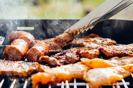 Na overlastklachten is barbecueën en hard geluid vanaf nu streng verboden in Alkmaars park