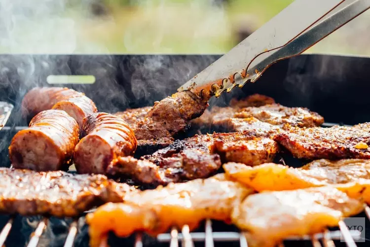 Na overlastklachten is barbecueën en hard geluid vanaf nu streng verboden in Alkmaars park