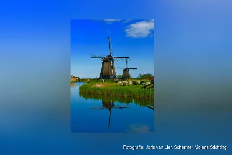 Bezoek de Schermer Molens op de Schermer maaldag