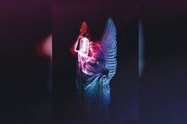 Alkmaar light festival: Nieuwe lichtkunstfestival in Alkmaar