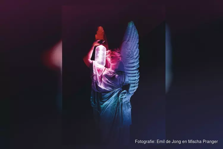 Alkmaar light festival: Nieuwe lichtkunstfestival in Alkmaar