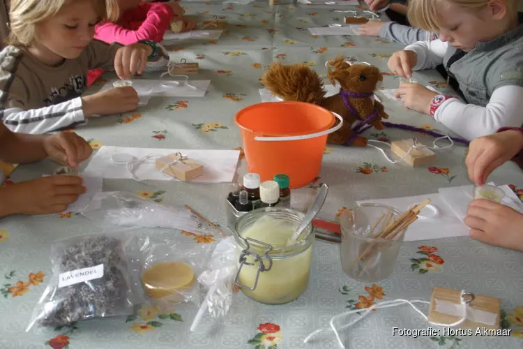 Kinderworkshop lavendel bij Hortus Alkmaar