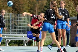 'Alkmaar moet weer een handbalbolwerk worden'