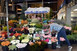 Bloembinderij Gebr. Jong al 50 jaar een familiebedrijf