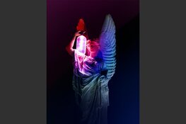 Stem mee met plekken en gebouwen voor Alkmaar Light Festival