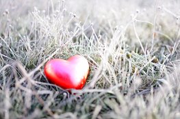 Wat te doen met Valentijnsdag in coronatijd?