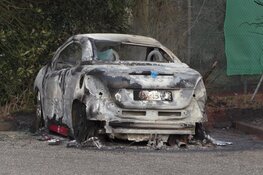 Auto door brand verwoest op Terborchlaan