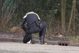 Auto door brand verwoest op Terborchlaan