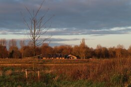 Luisterend over de natuurbegraafplaats